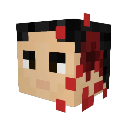 Burrito_Riot Minecraft avatar head, 3D render