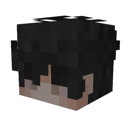 Burritoos Minecraft avatar head, 3D render