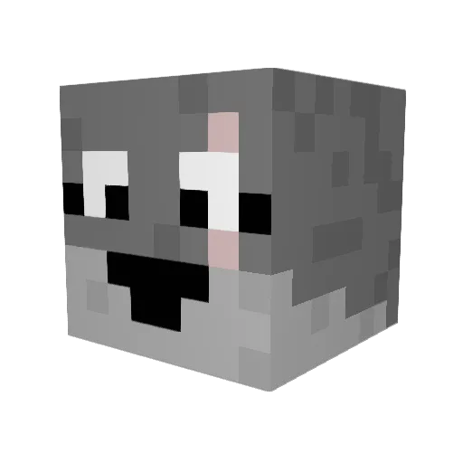 Burritos1818 Minecraft avatar head, 3D render