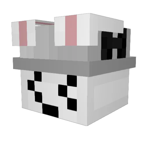 Burritron Minecraft avatar head, 3D render