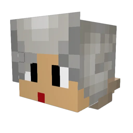 Burritwo Minecraft avatar head, 3D render