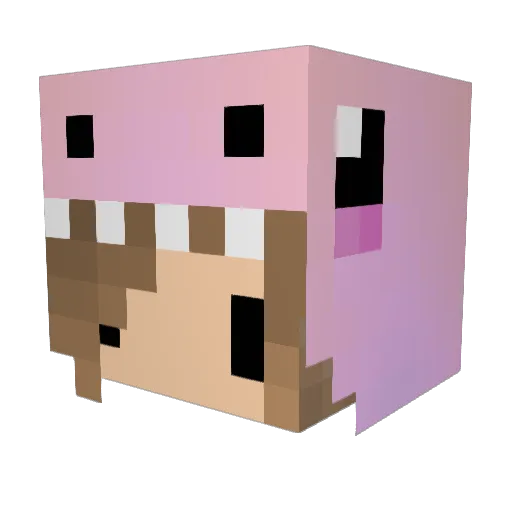 BurrowRainbow Minecraft avatar head, 3D render