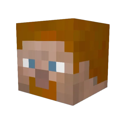 Burtdagooner Minecraft avatar head, 3D render
