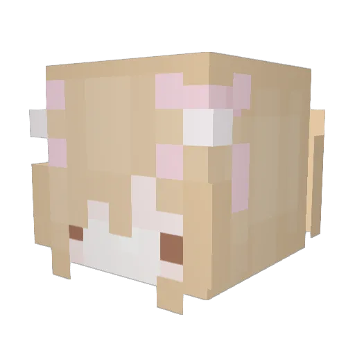 Burundukot Minecraft avatar head, 3D render