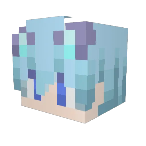 Bus_8555 Minecraft avatar head, 3D render