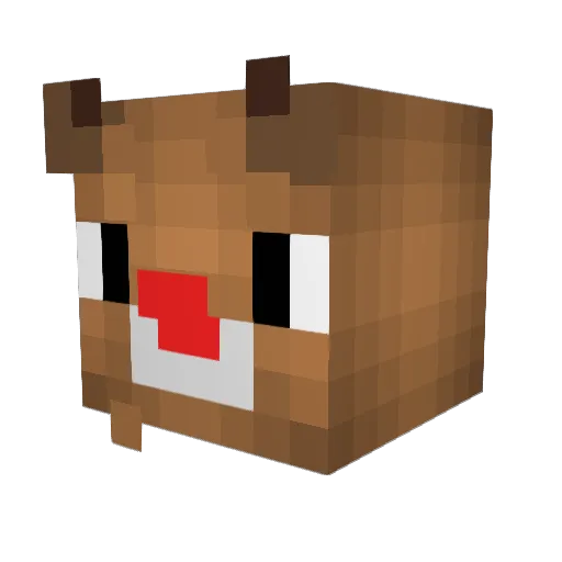 Bus_Wannkus Minecraft avatar head, 3D render