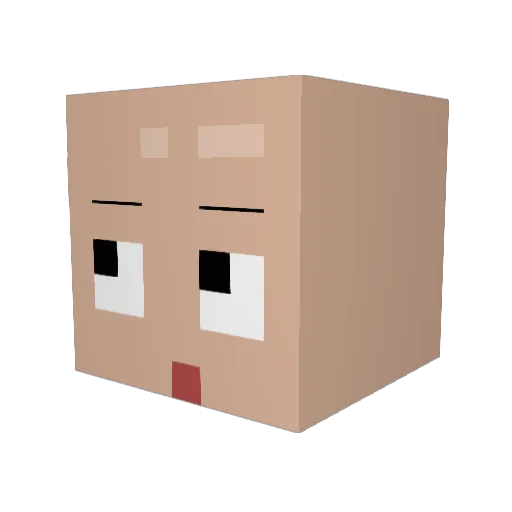 BusanSeagull Minecraft avatar head, 3D render