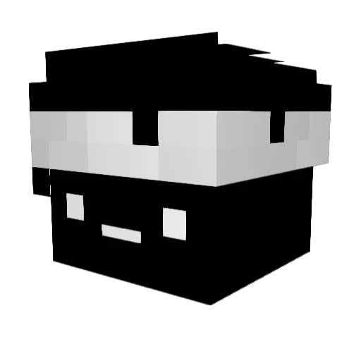 Buschi_10 Minecraft avatar head, 3D render