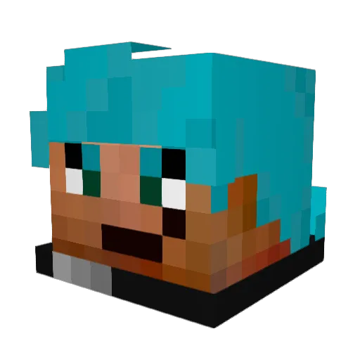 Bush1n Minecraft avatar head, 3D render