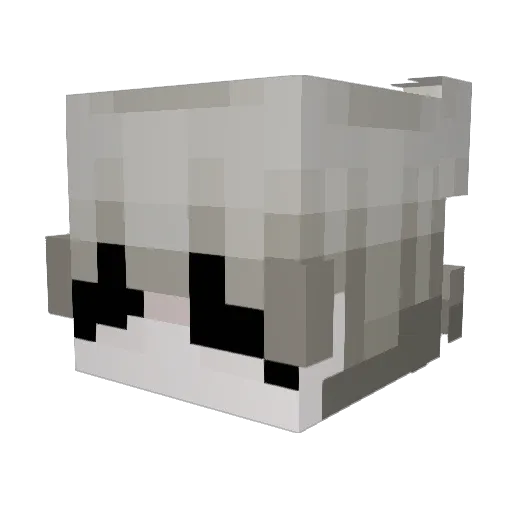 BushDeTop Minecraft avatar head, 3D render