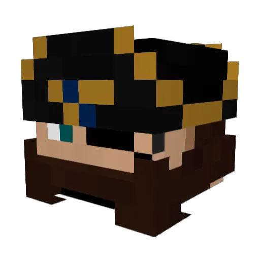 BushDidNine11_ Minecraft avatar head, 3D render