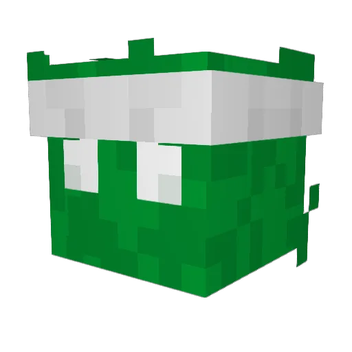 BushMC_ Minecraft avatar head, 3D render
