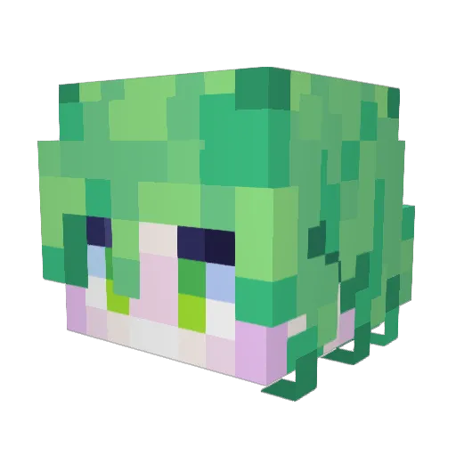 BushWoodzy Minecraft avatar head, 3D render