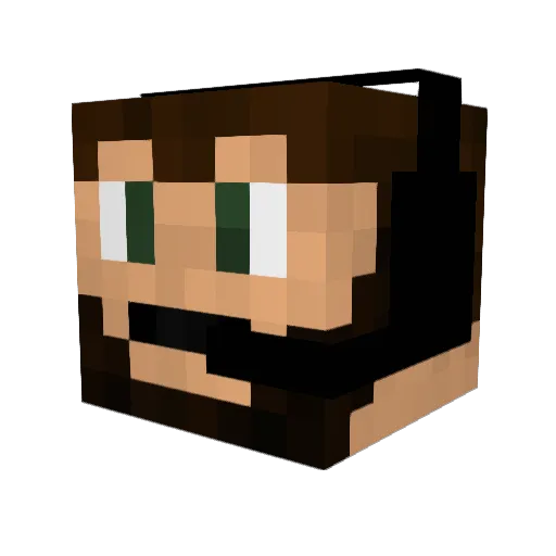 BushWook1 Minecraft avatar head, 3D render