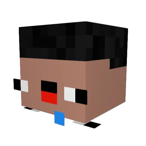 Bush_1122 Minecraft avatar head, 3D render