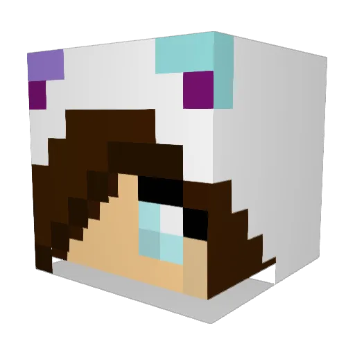 Bush_Head Minecraft avatar head, 3D render