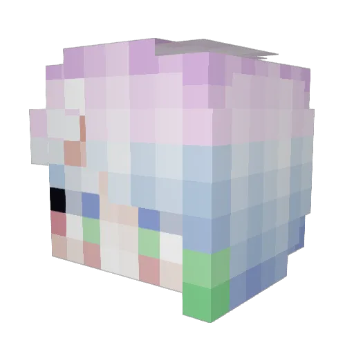 Bushax Minecraft avatar head, 3D render