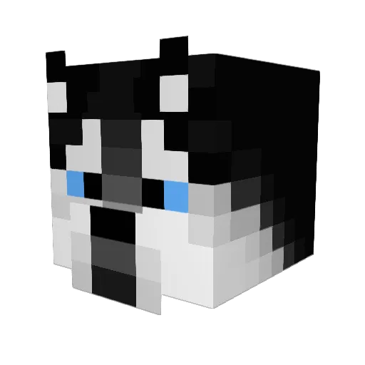 Bushdid9_11 Minecraft avatar head, 3D render