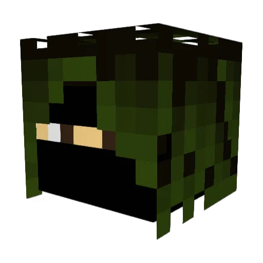 Bushwookie3305 Minecraft avatar head, 3D render