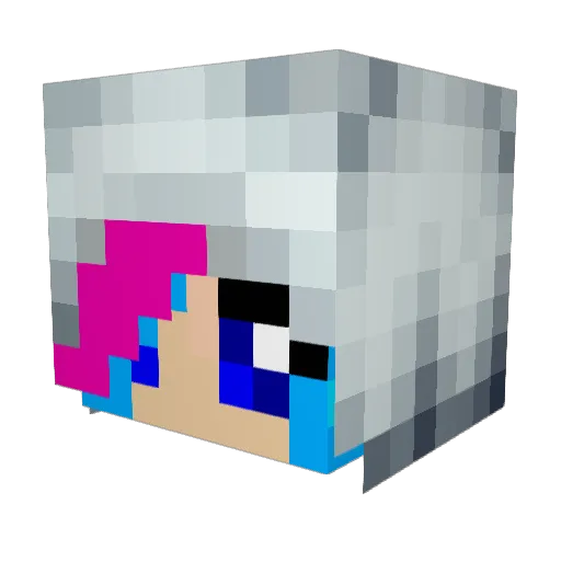 BushyGus Minecraft avatar head, 3D render