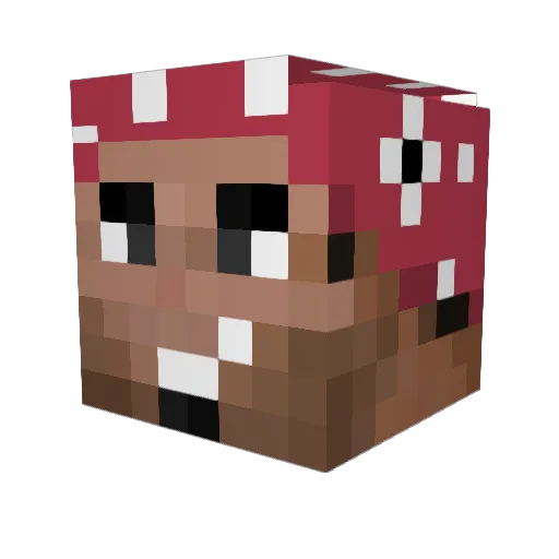 BusinessAvocado Minecraft avatar head, 3D render