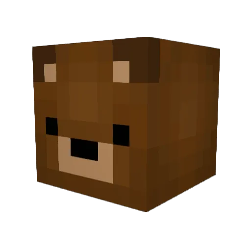 Busk0 Minecraft avatar head, 3D render