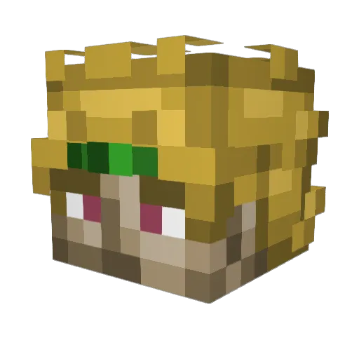 Bussymanlet Minecraft avatar head, 3D render