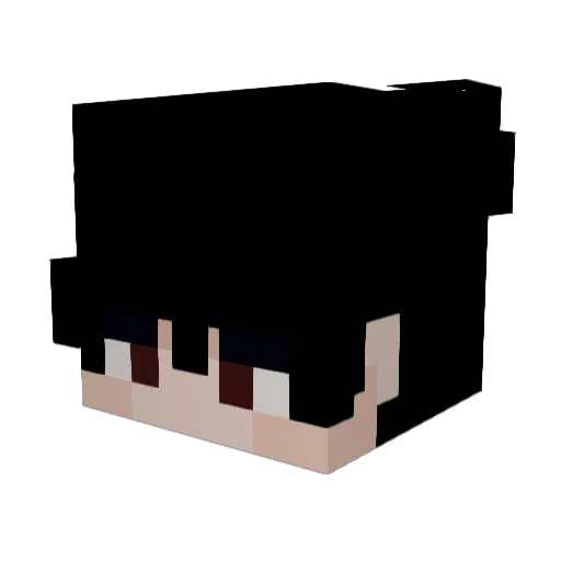 Bustamove45 Minecraft avatar head, 3D render