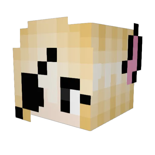 Bustdown Minecraft avatar head, 3D render