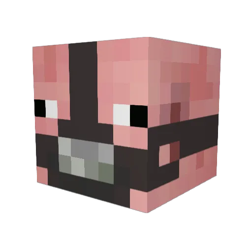 Bustedkneecap Minecraft avatar head, 3D render