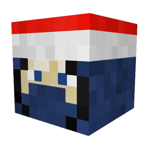 Buster1115 Minecraft avatar head, 3D render