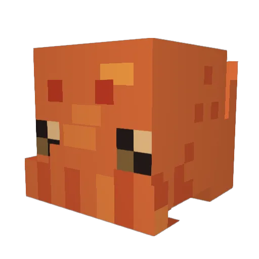Buster_Point Minecraft avatar head, 3D render