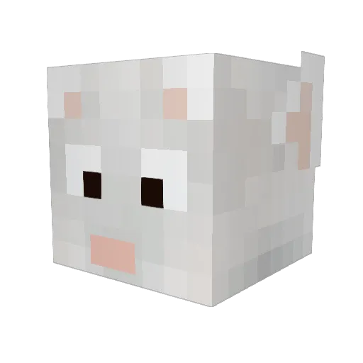 Buster_Stoat Minecraft avatar head, 3D render