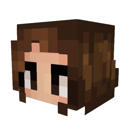 Bustersquirrel Minecraft avatar head, 3D render