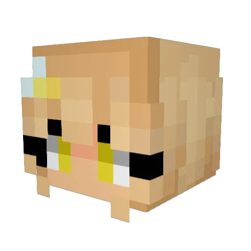 BusyBeeGaming Minecraft avatar head, 3D render