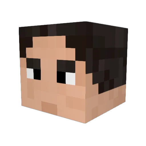 Busy_Boy Minecraft avatar head, 3D render