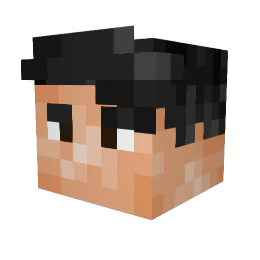 Butcher205 Minecraft avatar head, 3D render