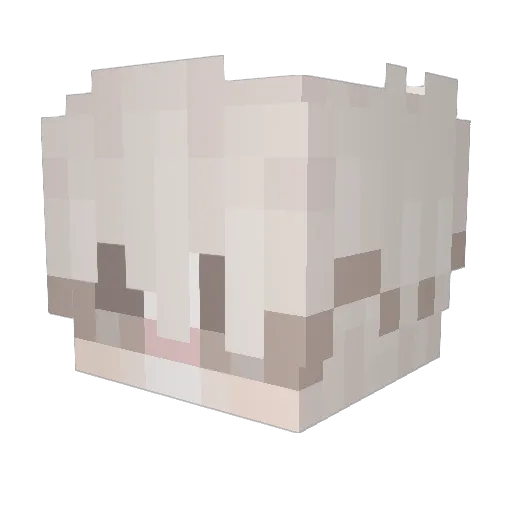 Butelie Minecraft avatar head, 3D render