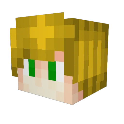 Buter_fly Minecraft avatar head, 3D render