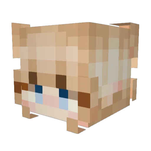 Butercup_ Minecraft avatar head, 3D render
