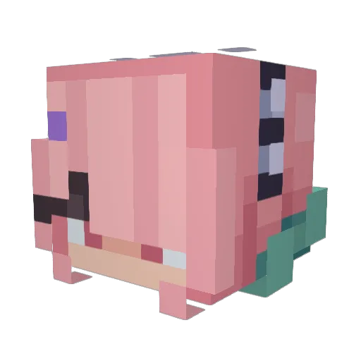 Butifarra666 Minecraft avatar head, 3D render