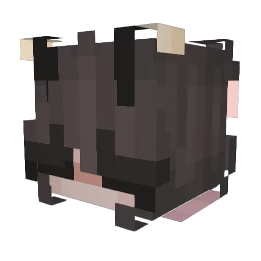 Butt3rmoth Minecraft avatar head, 3D render