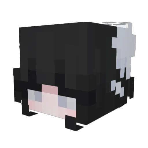 ButterBageluwu Minecraft avatar head, 3D render
