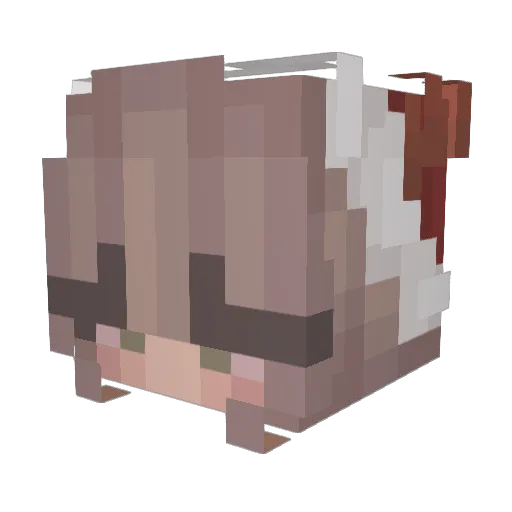 ButterChiken Minecraft avatar head, 3D render