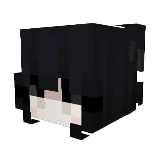 ButterCup6071 Minecraft avatar head, 3D render
