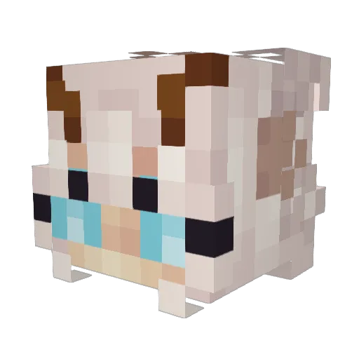 ButterGuy1049 Minecraft avatar head, 3D render