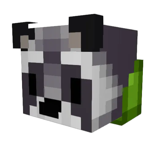 ButterRaccoon Minecraft avatar head, 3D render