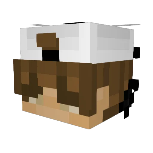 Butterball155 Minecraft avatar head, 3D render