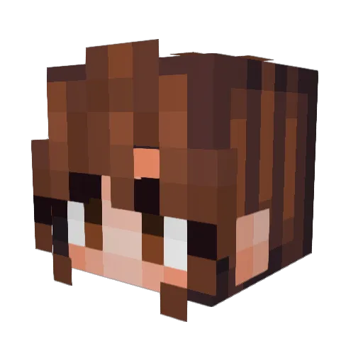 Butterbean_132 Minecraft avatar head, 3D render