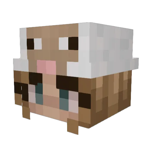 Butterbloom Minecraft avatar head, 3D render